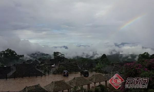 总面积76850亩 年产茶叶6180吨！云南这片茶园被认定为世界最大