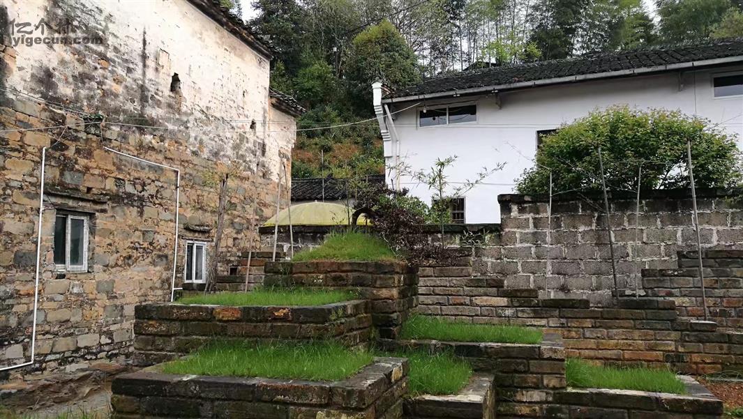 祁门桃源村：乡村运营促发展 满目新景入画来