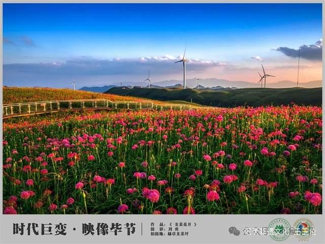 “时代巨变·映像毕节——庆祝中华人民共和国成立75周年摄影展”即将在毕节市盛大开幕