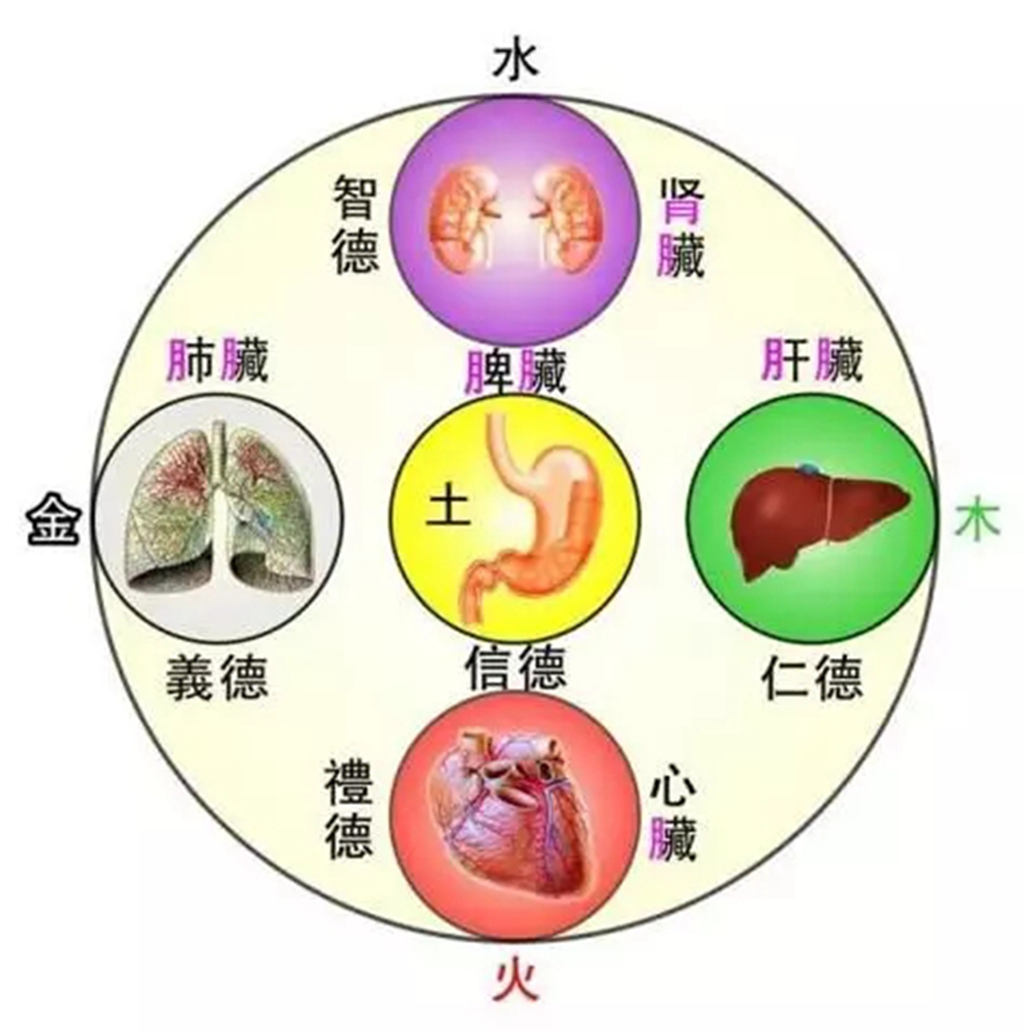 罗文礼治疗痛风方剂渊源如何将民族医药理论与现代医药相关