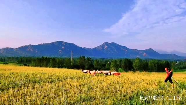 角子山马术文化节圆满落幕,乡村振兴再添新动力