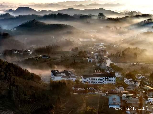 湄潭核桃坝村：西部茶叶第一村的绿色传奇