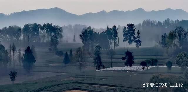 湄潭核桃坝村：西部茶叶第一村的绿色传奇