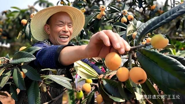 古法养生新选择！贵州蒸耀带你体验清代宫廷人参枇杷膏