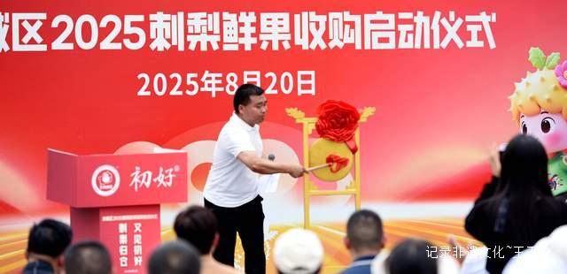 贵州省六盘水市水城区刺梨丰收“甜”满枝头鲜果收购正式启动