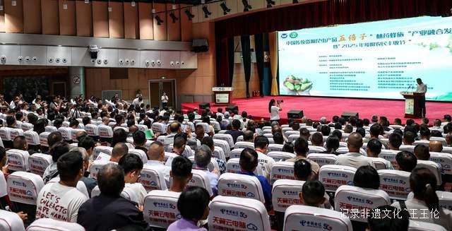 2025年绥阳农民丰收节暨五倍子“林药蜂旅”产业融合发展研讨会成功举办