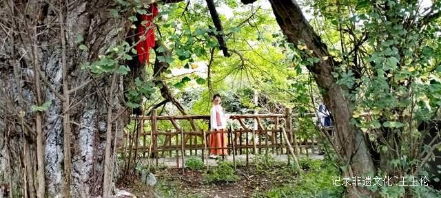 银杏科普研学游 贵阳石龙村中秋活动亮点纷呈