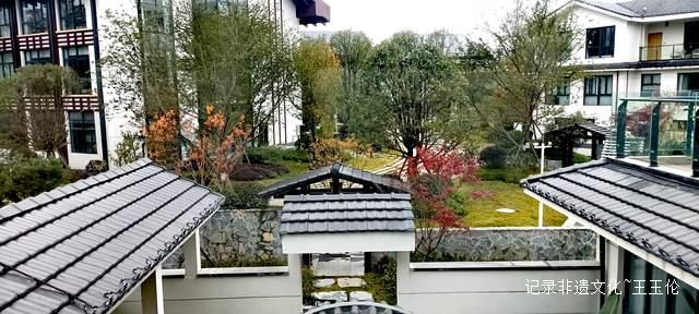 山海之间：一个游子眼中的百里杜鹃转型之路