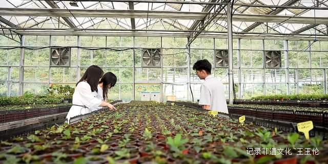 山海之间：一个游子眼中的百里杜鹃转型之路