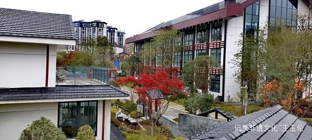 山海之间：一个游子眼中的百里杜鹃转型之路