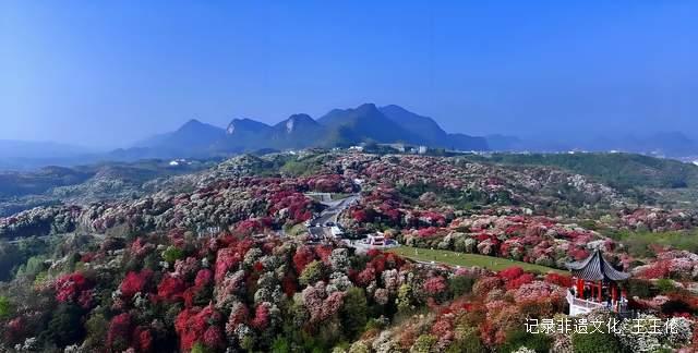 山海之间：一个游子眼中的百里杜鹃转型之路