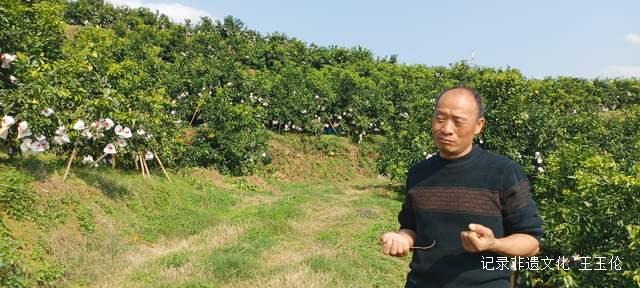 品金沙橙红，赏山谷秋色，恒丰果蔬用丰收描绘乡村振兴画卷