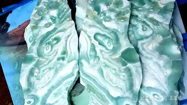 大地之花：一位农民与亿万年的蓝色奇缘