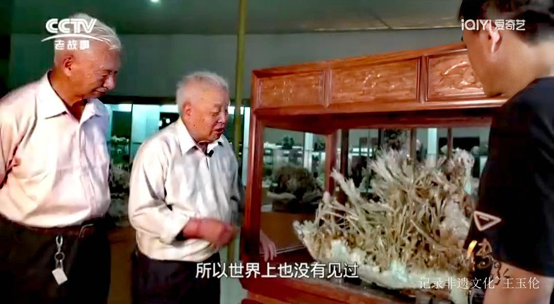 大地之花：一位农民与亿万年的蓝色奇缘