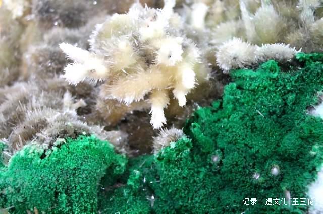 大地之花：一位农民与亿万年的蓝色奇缘