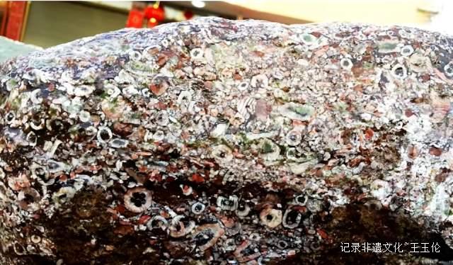 大地之花：一位农民与亿万年的蓝色奇缘