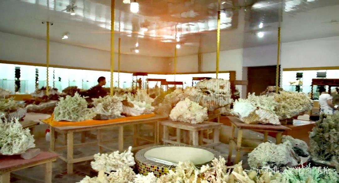 大地之花：一位农民与亿万年的蓝色奇缘