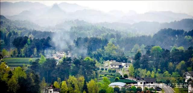 茶香漫道是长征——记“龙泉剑茗”之父刘长征