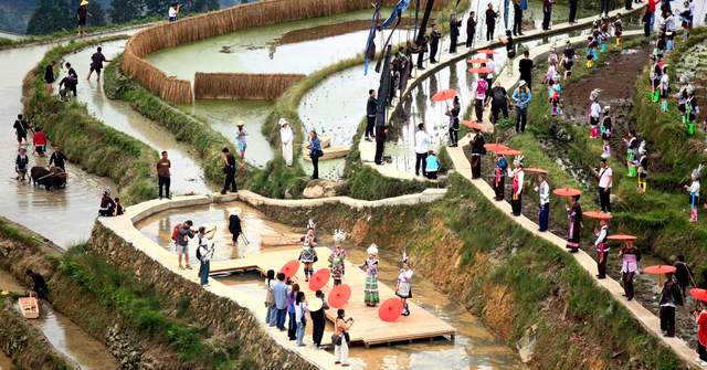 春风送暖启秧门，千年农韵绘新篇——2026年加榜梯田开秧门活动全景纪实