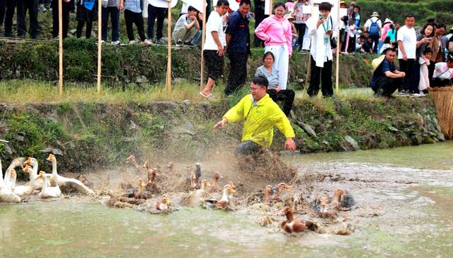 春风送暖启秧门，千年农韵绘新篇——2026年加榜梯田开秧门活动全景纪实
