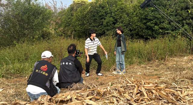 《沃土生金少年归》:揭开神秘面纱,这部短剧将带来怎样的惊喜?