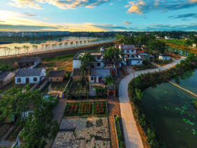 河南省虞城县利民镇老佟庄村最美支部书记-王森