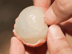 广东人的离谱行为:万物皆可酱油!