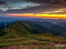 寻美毕节:韭菜花开,紫色梦境的浪漫邀约
