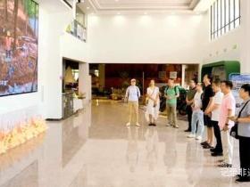 当航天科技遇见户外生活:金华山露营基地打造文旅体旅融合新样本
