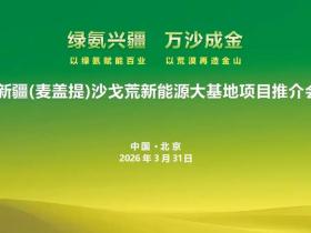 新疆麦盖提沙戈荒特大型新能源基地项目推介会成功举办